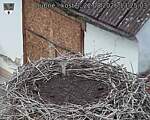 Capi_Dubne_20260822_132503.jpg