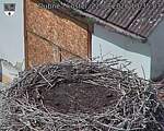 Capi_Dubne_20260822_133503.jpg