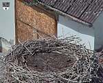Capi_Dubne_20260822_135003.jpg