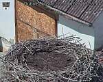 Capi_Dubne_20260822_135504.jpg