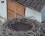 Capi_Dubne_20260822_140004.jpg