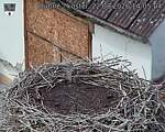 Capi_Dubne_20260822_140504.jpg