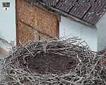 Capi_Dubne_20260822_142003.jpg