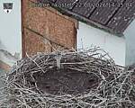 Capi_Dubne_20260822_143504.jpg