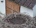 Capi_Dubne_20260822_144503.jpg