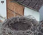 Capi_Dubne_20260822_145504.jpg