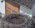Capi_Dubne_20260822_150004.jpg