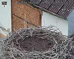 Capi_Dubne_20260822_151003.jpg