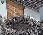Capi_Dubne_20260822_151503.jpg