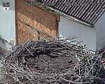 Capi_Dubne_20260822_153003.jpg