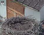 Capi_Dubne_20260822_154002.jpg