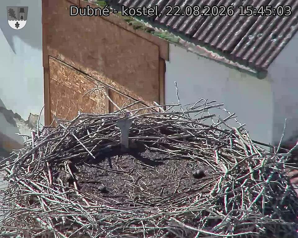 preload
