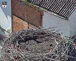 Capi_Dubne_20260822_155503.jpg