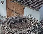 Capi_Dubne_20260822_160003.jpg