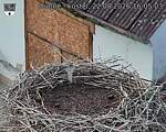 Capi_Dubne_20260822_160503.jpg