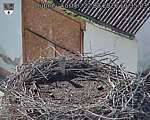 Capi_Dubne_20260822_163503.jpg