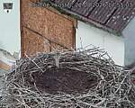 Capi_Dubne_20260822_175503.jpg