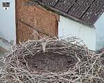 Capi_Dubne_20260822_195503.jpg