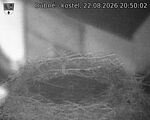 Capi_Dubne_20260822_205002.jpg
