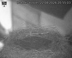 Capi_Dubne_20260822_205503.jpg