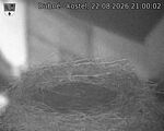 Capi_Dubne_20260822_210002.jpg