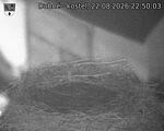 Capi_Dubne_20260822_225003.jpg