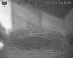 Capi_Dubne_20260822_233502.jpg