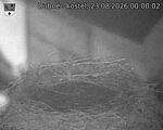 Capi_Dubne_20260823_000002.jpg