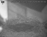 Capi_Dubne_20260823_000502.jpg