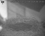 Capi_Dubne_20260823_002503.jpg