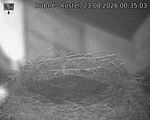 Capi_Dubne_20260823_003503.jpg