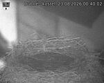 Capi_Dubne_20260823_004002.jpg