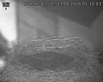 Capi_Dubne_20260823_011003.jpg