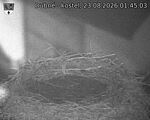 Capi_Dubne_20260823_014503.jpg