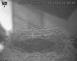 Capi_Dubne_20260823_020002.jpg