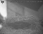 Capi_Dubne_20260823_022003.jpg