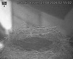 Capi_Dubne_20260823_025502.jpg