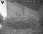 Capi_Dubne_20260823_033002.jpg