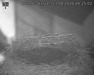 preload