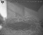 Capi_Dubne_20260823_043003.jpg