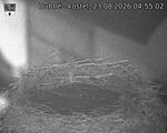 Capi_Dubne_20260823_045502.jpg