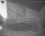 Capi_Dubne_20260823_050003.jpg