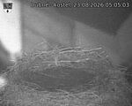 Capi_Dubne_20260823_050503.jpg