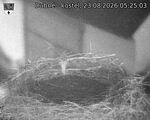 Capi_Dubne_20260823_052503.jpg