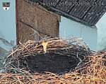 Capi_Dubne_20260823_062504.jpg