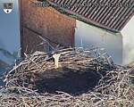 Capi_Dubne_20260823_070503.jpg