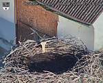 Capi_Dubne_20260823_071004.jpg
