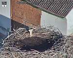 Capi_Dubne_20260823_072504.jpg