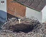 Capi_Dubne_20260823_073004.jpg