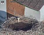 Capi_Dubne_20260823_073504.jpg